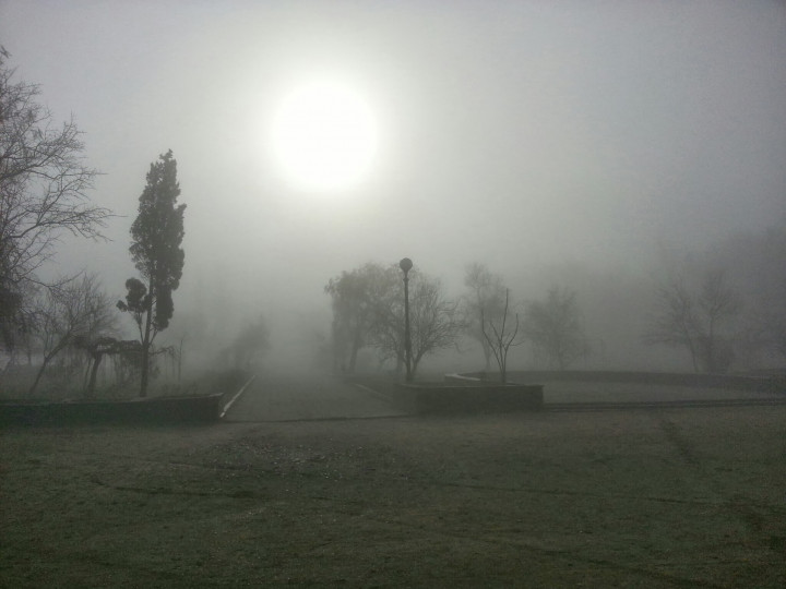fog_photo.jpg