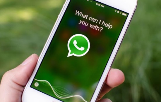 С новым WhatsApp для iOS можно попросить Siri отправить сообщение или позвонить