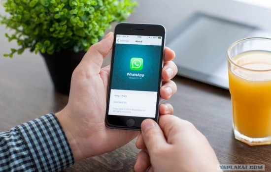 Количество звонков WhatsApp в день превысило 100 миллионов