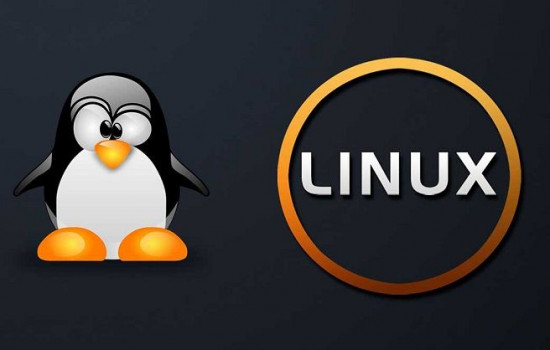Как протестировать любой дистрибутив Linux не скачивая и не устанавливая его